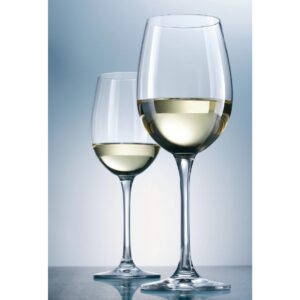 Schott Zwiesel Classico Crystal Wine Goblets 545ml (Pack of 6)