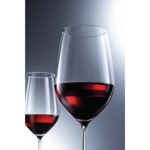 Schott Zwiesel Vina Crystal Red Wine Glasses 404ml (Pack of 6)