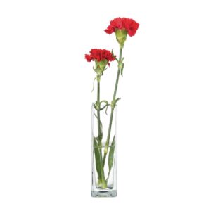 Square Bud Vase (Pack of 6)