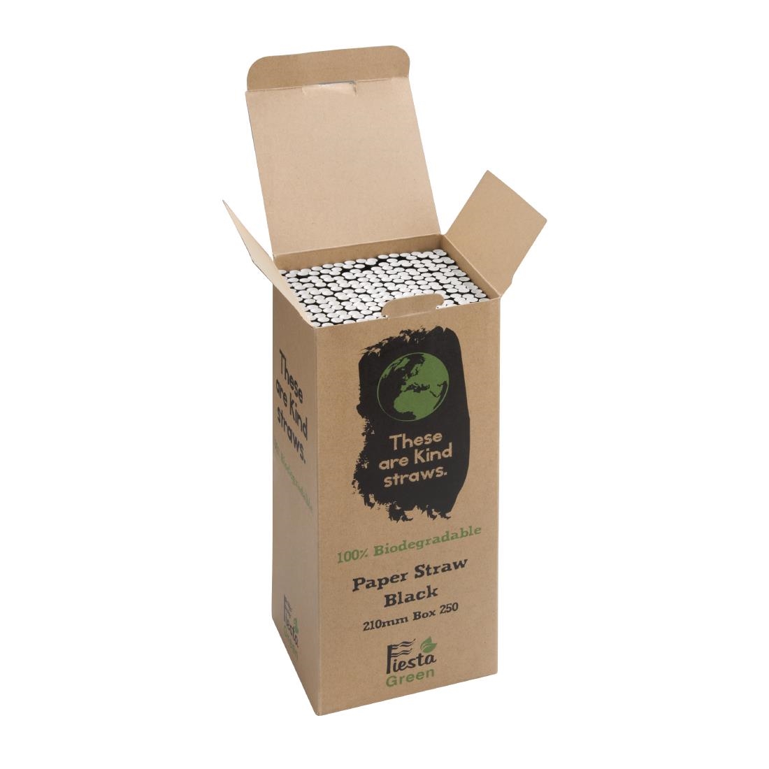 Fiesta Green Compostable Paper Straws Black (Pack of 250) - Image 3