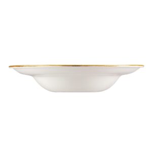 Churchill Stonecast Round Wide Rim Bowl Duck Egg Blue 240mm (Pack of 12)