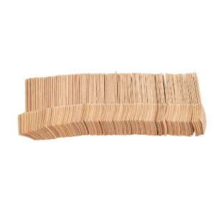 Fiesta Green Biodegradable Wooden Ice Cream Spoons (Pack of 100)