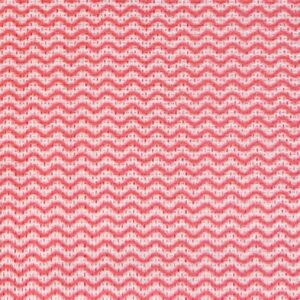 EcoTech Envirowipe Antibacterial Compostable Cleaning Cloths Red (25 Pack)