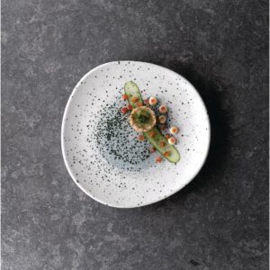 Churchill Studio Prints Mineral Blue Centre Organic Round Plates 210mm (Pack of 12)