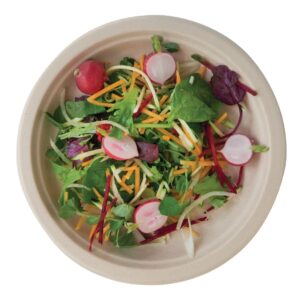 eGreen Eco-Fibre Compostable Wheat Round Plates 230mm (Pack of 1000)