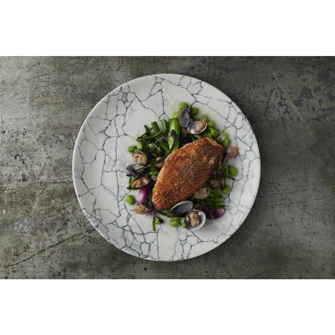 Churchill Studio Prints Kintsugi Pearl Evolve Coupe Plate Grey 260mm (Pack of 12) - Image 3