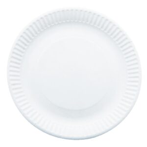 Paper Plates 229mm (Pack of 250)