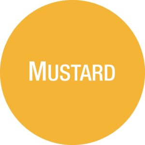 FIFO Sauce Bottle Mustard Labels (Pack of 24)