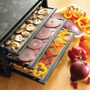 Excalibur 5 Tray Black Dehydrator 4500B