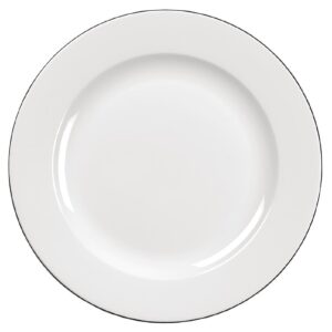 Churchill Alchemy Mono Plates 300mm (Pack of 12)
