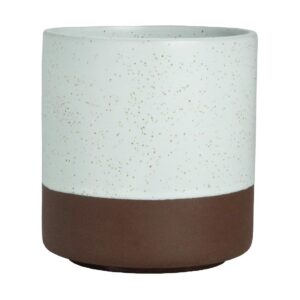 Maham Studio Spice Sea Salt Cup 80x86mm 240ml (Box 12)(Direct)