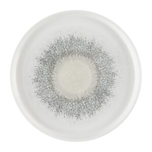 Churchill Studio Prints Fusion Agate Grey Chefs' Walled Plate 210mm (Pack of 6)