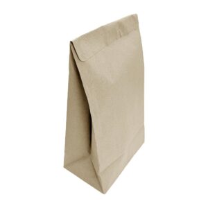 Fiesta Recyclable Sealable Takeaway Bags Medium (250 Pack)