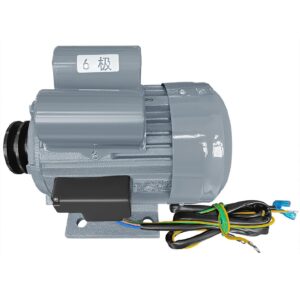 Polar Electric Motor