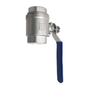 Buffalo Stainless Steel Two-Piece Ball Valve