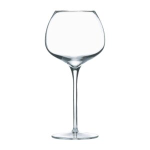 Luigi Bormioli Super Wine Glasses 600ml/21oz (12 Pack)