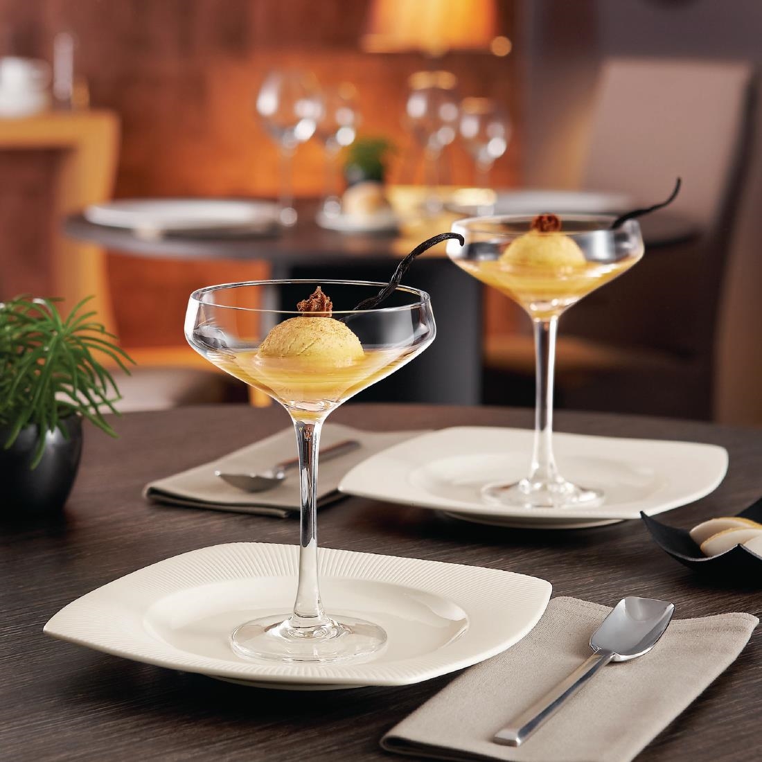 Chef & Sommelier Cabernet Cocktail Coupe/Saucers 300ml (12 Pack) - Image 4