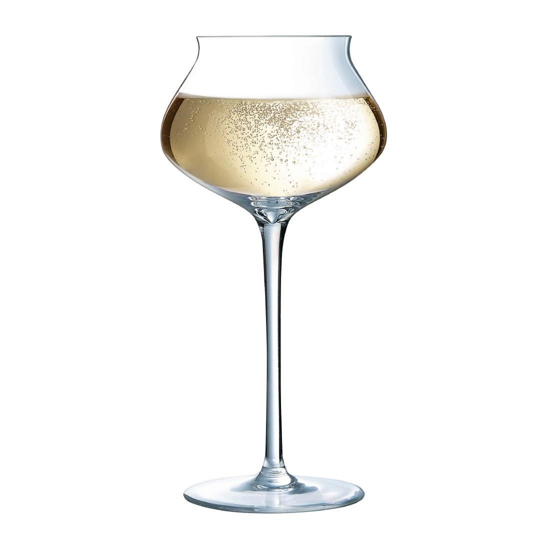 Arcoroc Macaron Fascination Champagne Flutes 300ml (24 Pack) - Image 2