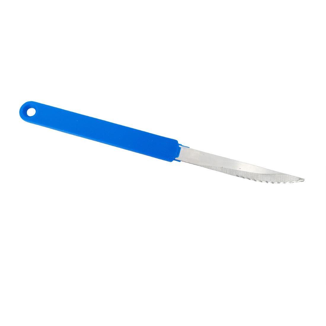 Scaritech Scarinox Knife Blue - Image 2