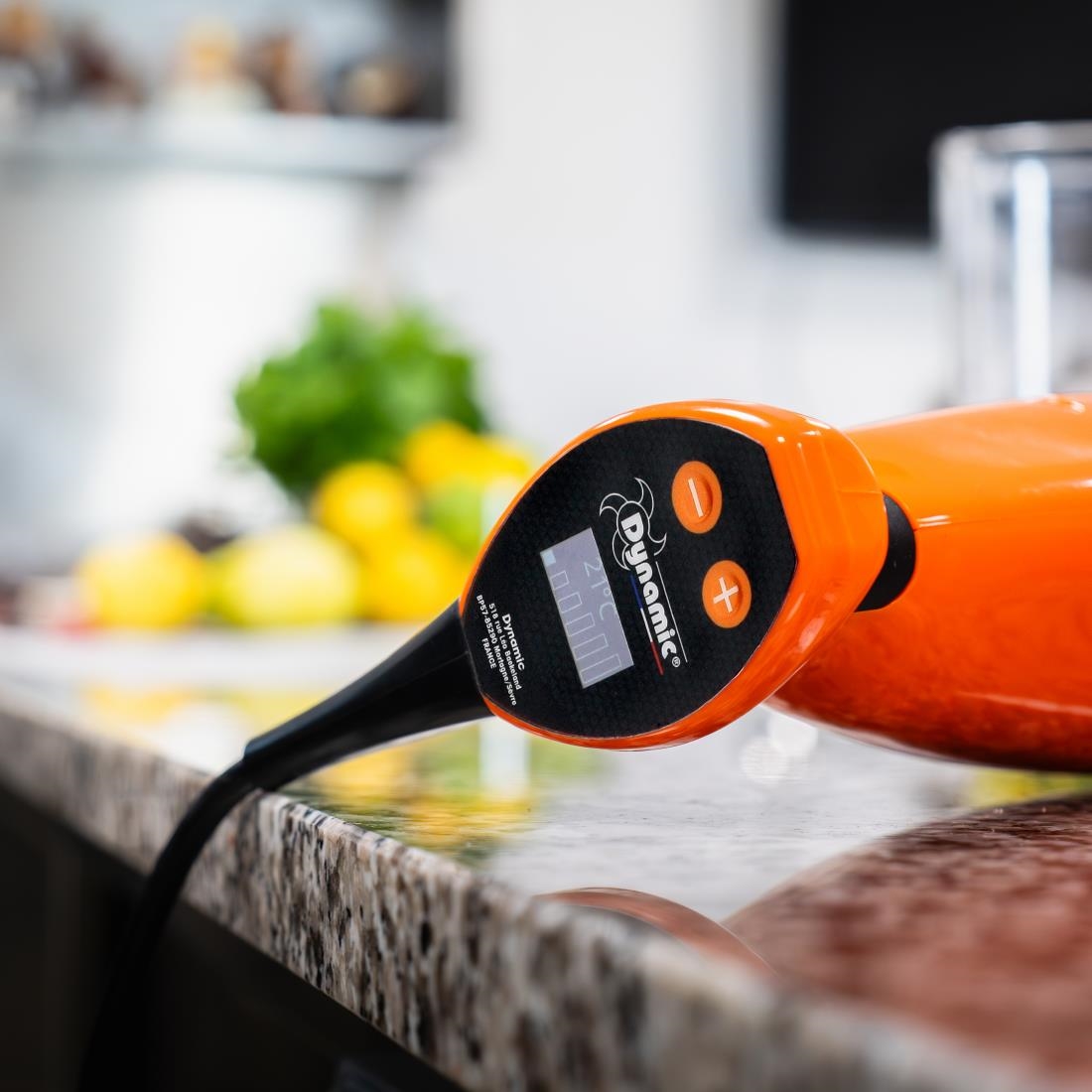 Dynamic Master Variable Speed Stick Blender MD95+ - Image 3