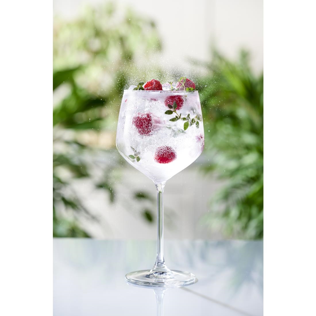 Royal Leerdam Specials Cocktails Tall Stem Gin Glasses 650ml/23oz (6 Pack) - Image 6