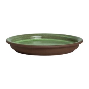 Maham Studio Spice Cardamon Cover for Bowls 120mm (12 Pack)