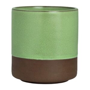 Maham Studio Spice Cardamon Cup 80x86mm (12 Pack)