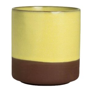 Maham Studio Spice Saffron Cup 240ml (12 Pack)