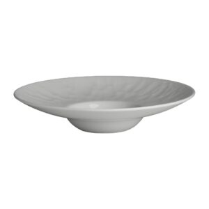 Steelite Atelier Wing Testing Bowls 210x44mm (24 Pack)