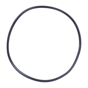 Buffalo Door Gasket