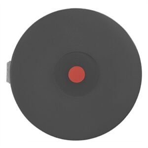 Buffalo Hot Plate