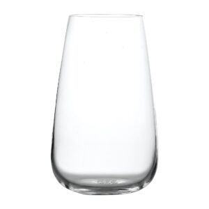 Luigi Bormioli I Meravigliosi Beverage Glasses 570ml/20oz (24 Pack)