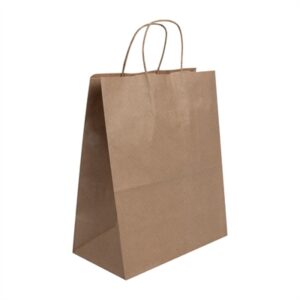 Fiesta Recyclable Twist Handle Brown Paper Bags Large (250 Pack)