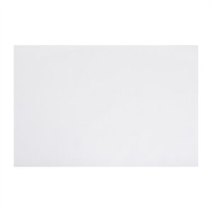Fiesta Compostable Fish & Chip Paper White 500x750mm (Pack 200)