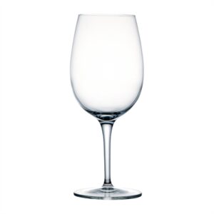 Luigi Bormioli Palace Large Red Wine Glasses 570ml (24 Pack)