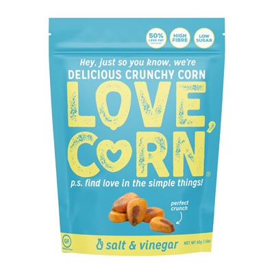 LOVE CORN Salt and Vinegar 45g (10 Pack)