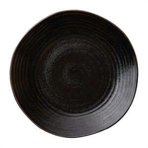 Steelite Orbita Coupe Plates Fuse Jet 285mm (12 Pack)