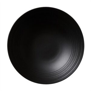 Steelite Concorde Coupe Bowls Noir 255mm (12 Pack)