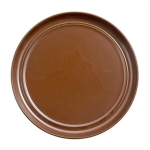 Steelite Off Grid Studio Fire Plates Ember 230mm (24 Pack)