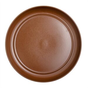 Steelite Off Grid Studio Fire Presentation Plates Ember 280mm (12 Pack)