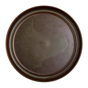 Steelite Off Grid Studio Fire Plates Timber 260mm (12 Pack)